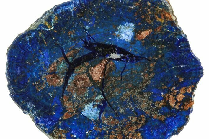 Vivid Blue, Cut/Polished Azurite Nodule - Siberia #209468